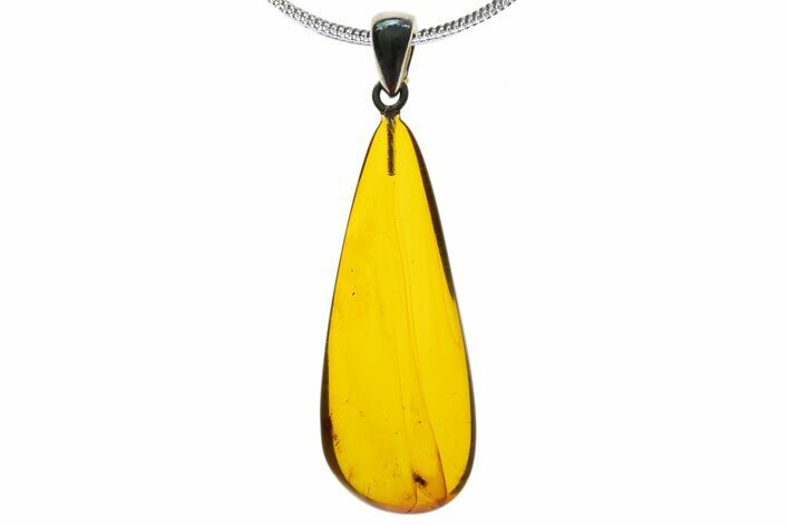 Polished Baltic Amber Pendant (Necklace) - Contains Wasp! #339470